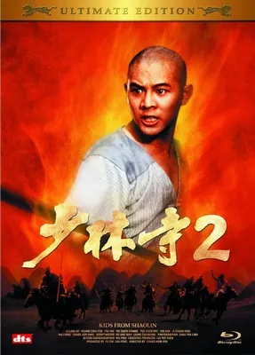 The Shaolin Temple (1982) เสี้ยวลิ้มยี่ ภาค 2